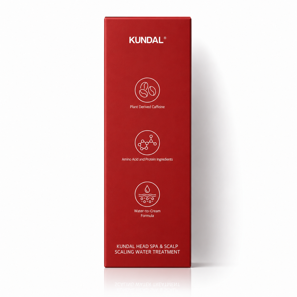 Kundal Head Spa & Scalp Scaling 300ml